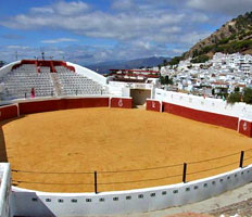 Picture of oval Bullring of Mijas
