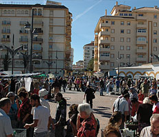 Fuengirola Flea market